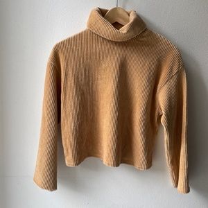 VELVET RIBBED SAND COLOR TURTLENECK